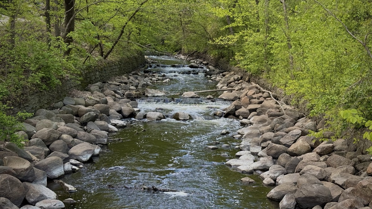 Rocky creek flowing through a green leafy forest with small cascades over boulders lining both banks