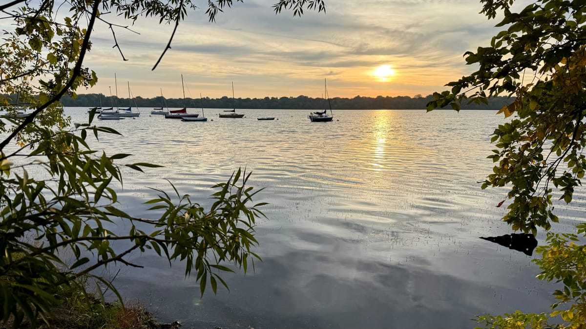 Sailboats moored on Lake Harriet at sunrise, framed by overhanging branches along the shoreline.
