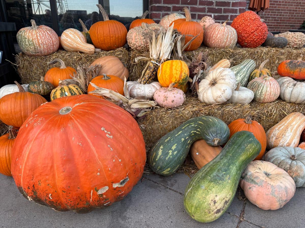 A large scuffed orange pumpkin sits beside green striped squash and stacks of gourds on hay bales along a sidewalk.